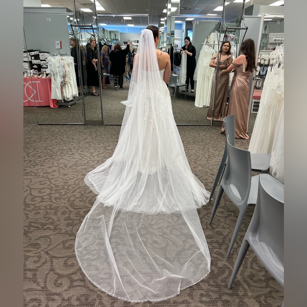 David’s Bridal Ivory Glitter Veil with Beaded Edges; Cathedral Length